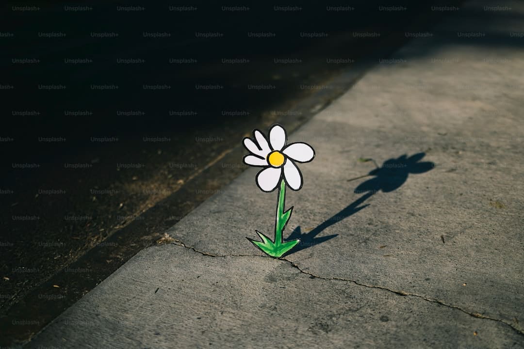 泉州南音：听一曲南音 品千年高雅